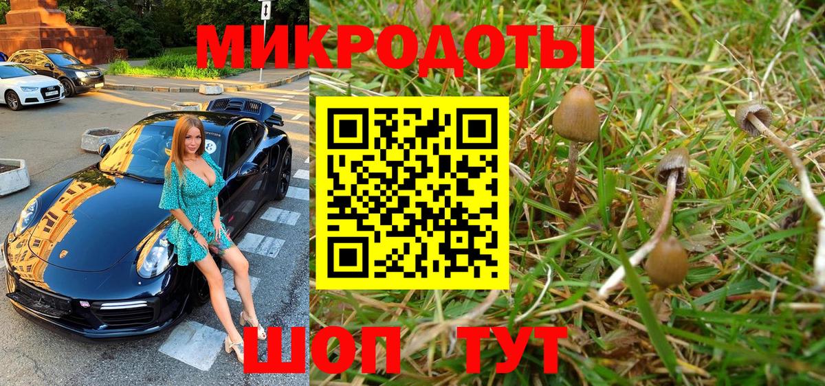 Галлюциногенные грибы MAGIC MUSHROOMS Михайловск