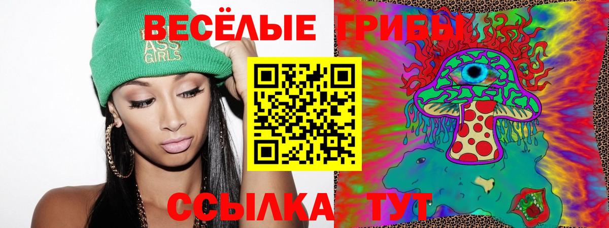 Михайловск  Псилоцибиновые грибы Psilocybine cubensis  Вход с VPN 